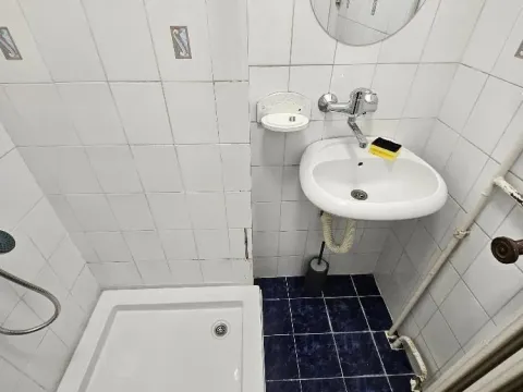 Rent, one bedroom apartment, 30m², Vračar Hram, Vračar Sve Podlokacije - image 12