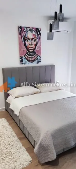 Rent, two bedroom apartment, 46m², Novi Beograd Blok 65, Novi Beograd Sve Podlokacije