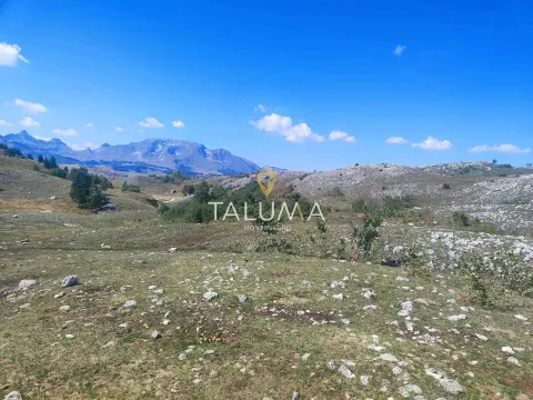 Prodaja, plac, 65000m², Žabljak, Crna Gora - image 4