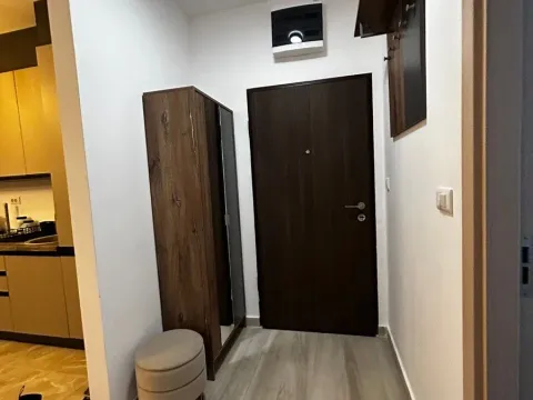 Prodaja, jednosoban stan, 43m², Zabjelo, Podgorica - image 10