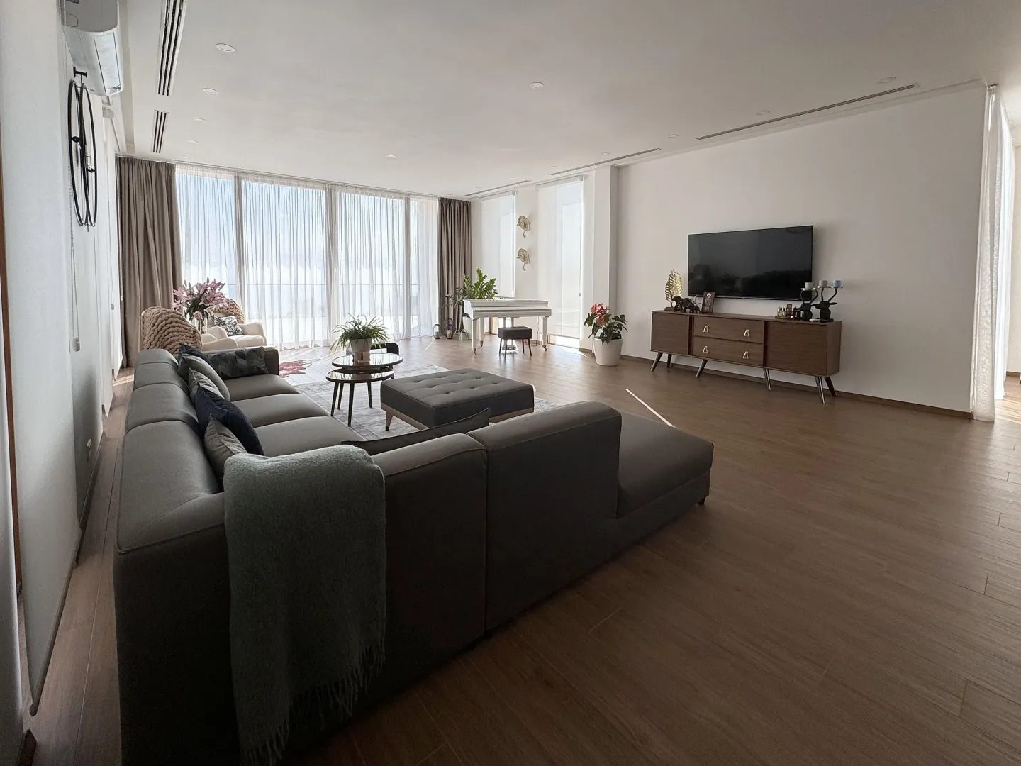 Spacious living room with a sofa, TV, and large windows.