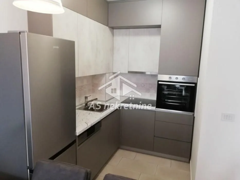 Izdavanje, dvosoban stan, 49m², Hala Pionir, Palilula Sve Podlokacije