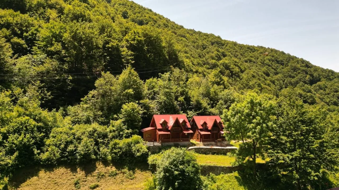 Pogled iz vazduha na drvene vikendice okružene šumom i zelenilom.