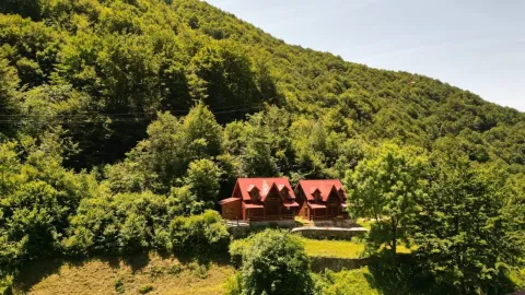 Pogled iz vazduha na drvene vikendice okružene šumom i zelenilom. - image 3