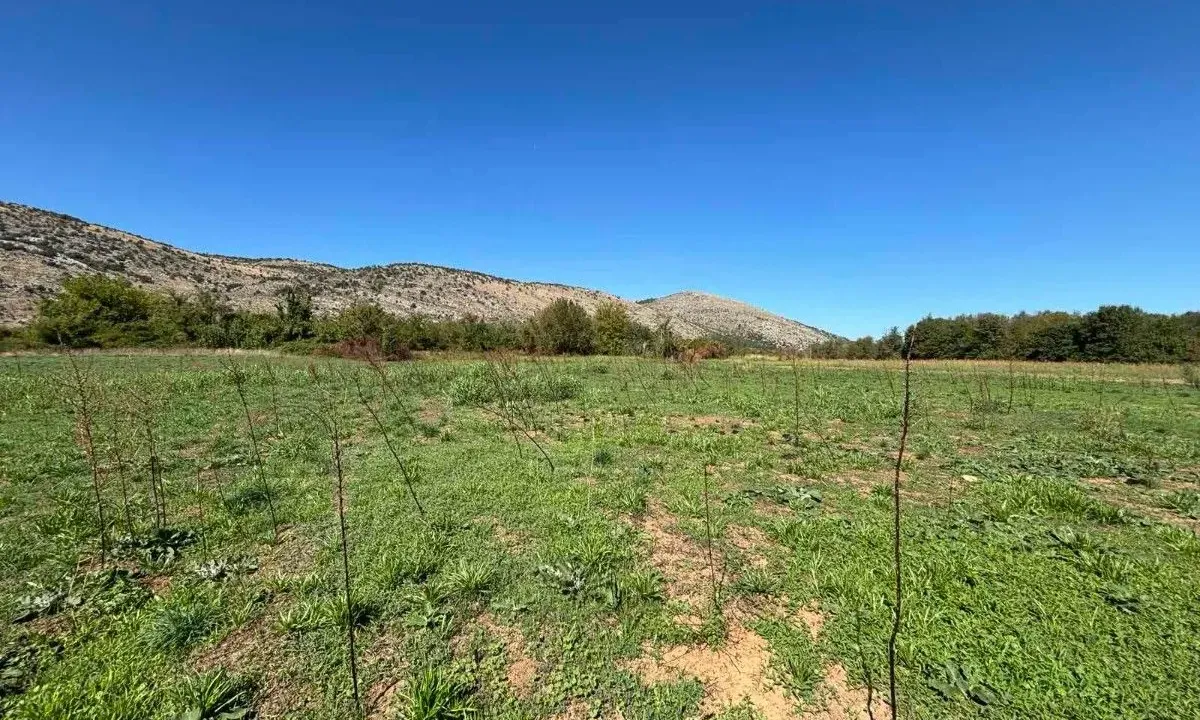 Prodaja, plac, 9569m², Botun, Podgorica