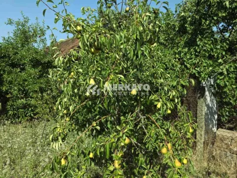 Sale, land lot, 3100m², Bagljaš, Zrenjanin - image 14