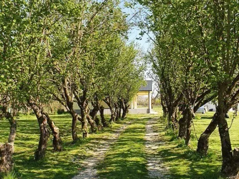 Prodaja, kuća, 132m², Danilovgrad, Crna Gora - image 8