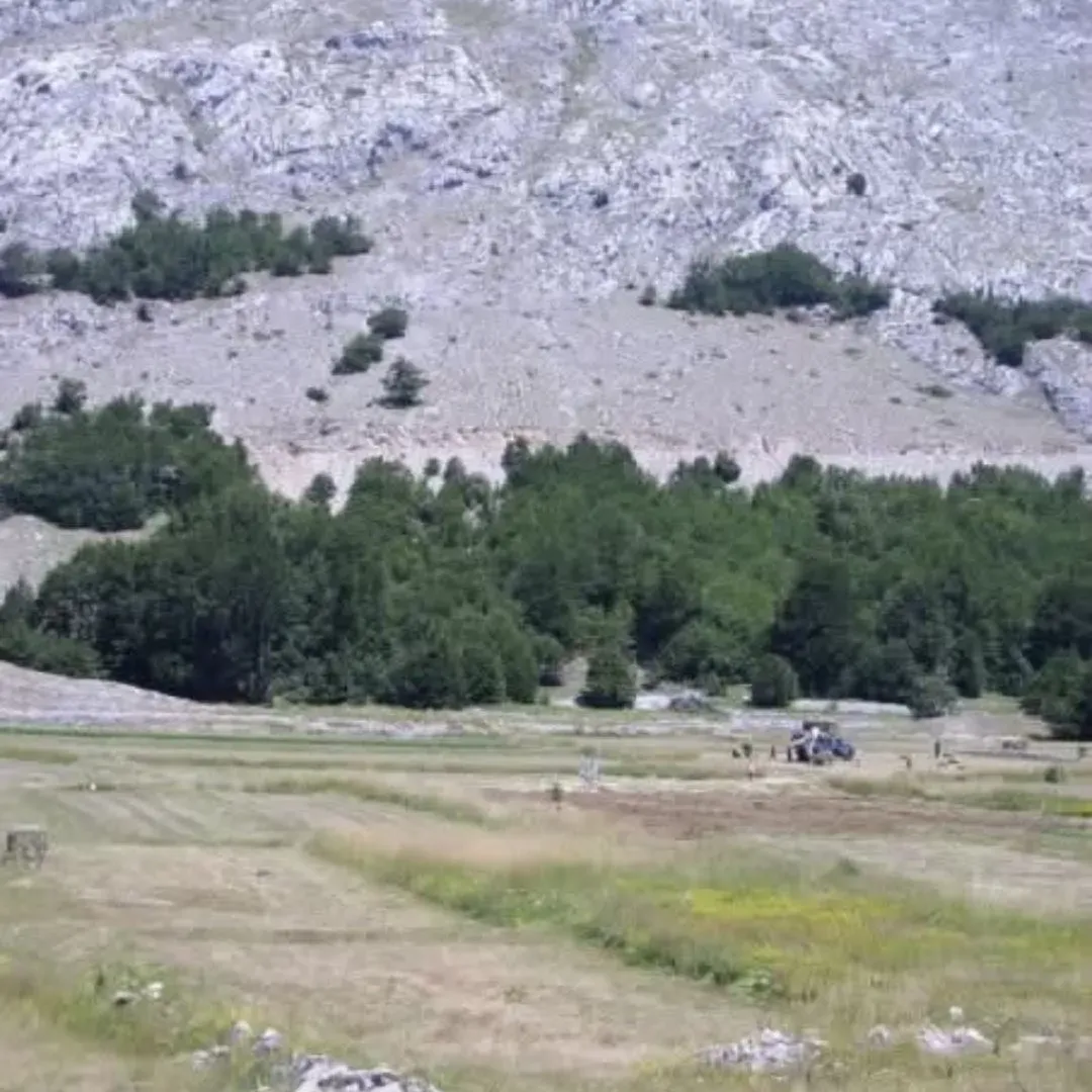 Prodaja, plac, 1309m², Njeguši, Cetinje