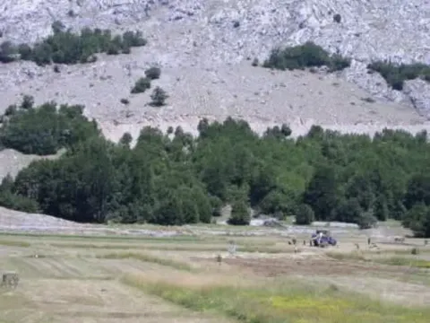 Zemljište in Njeguši