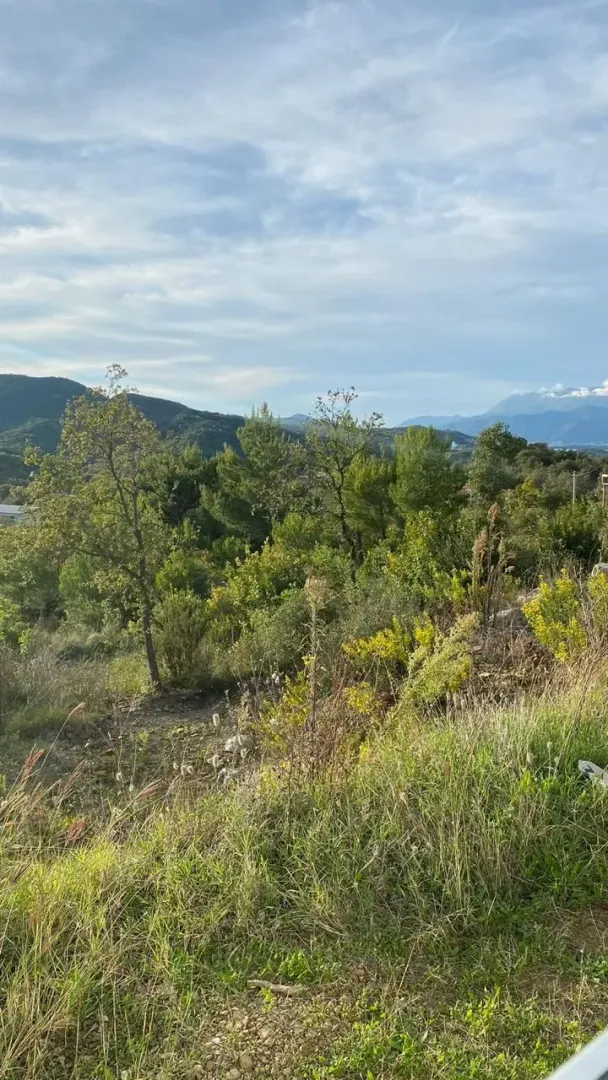 Pogled na okolnu prirodu, drveće i planine u daljini.