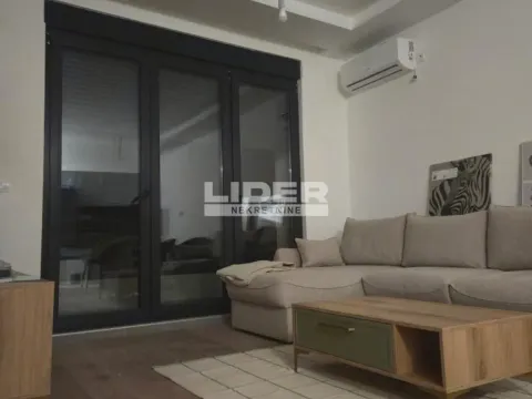 Izdavanje, dvosoban stan, 40m², Južni Bulevar, Vračar Sve Podlokacije - image 4