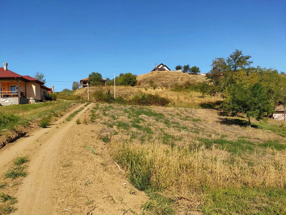 Prodaja, plac, 700m², Sremska Kamenica, Petrovaradin