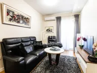 Izdavanje, jednosoban stan, 40m², Central Point, Podgorica - image 2