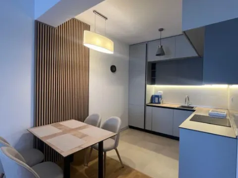 Prodaja, jednosoban stan, 47m², Zabjelo, Podgorica - image 5