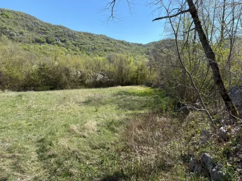 Prodaja, plac, 8979m², Kuči, Podgorica - image 4