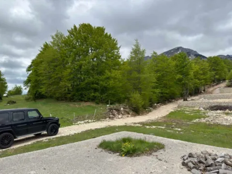 Prodaja, plac, 310m², Motički gaj, Žabljak - image 2