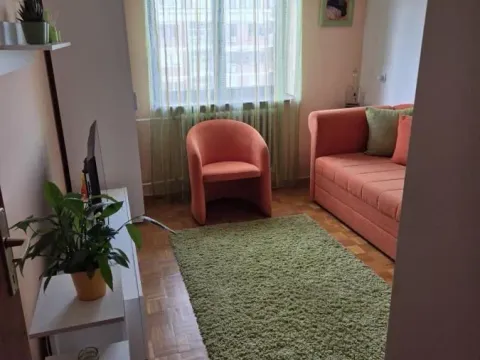 Sale, three bedroom apartment, 83m², Bulevar patrijarha Pavla, Novi Sad Sve Podlokacije - image 9