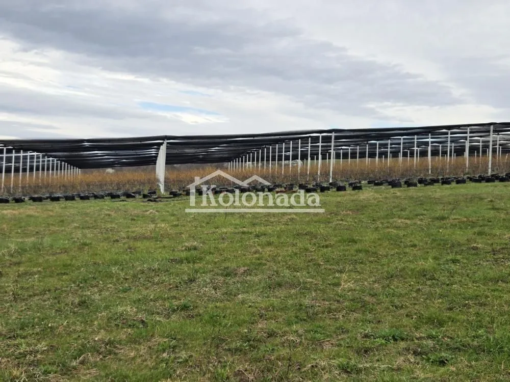 Prodaja, plac, 14500m², Sopot, Beograd