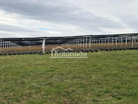 Prodaja, plac, 14500m², Sopot, Beograd - image 4