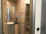 Izdavanje, poslovni prostor, 550m², Banovo Brdo, Beograd - image 21