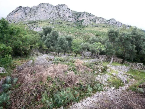 Prodaja, plac, 2650m², Budva, Crna Gora - image 13