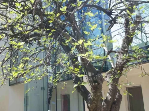 Izdavanje, poslovni prostor, 590m², Vračar Sve Podlokacije, Beograd - image 11