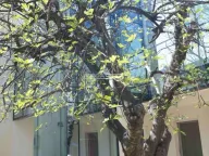 Izdavanje, poslovni prostor, 590m², Vračar Sve Podlokacije, Beograd - image 11