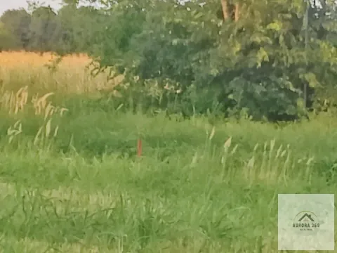 Prodaja, plac, 770m², Veternik, Novi Sad Sve Podlokacije - image 7