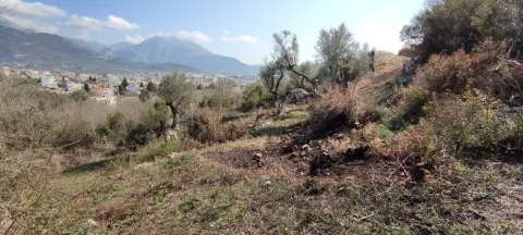 Pogled na zemljište i okolni pejzaž sa rastinjem. - image 3