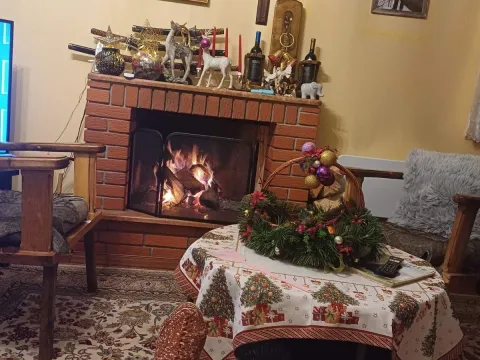 Prodaja, kuća, 240m², Podgorica, Crna Gora - image 8