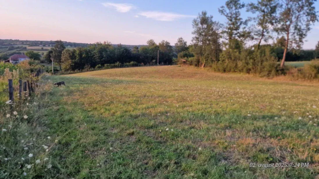 Sale, land lot, 4700m², Dučina, Sopot
