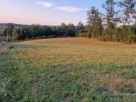 Sale, land lot, 4700m², Dučina, Sopot - image 1