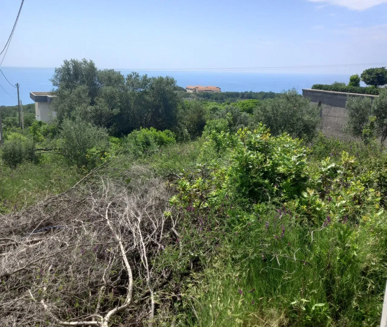 Prodaja, plac, 487m², Krimovica, Kotor