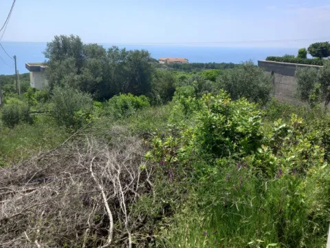 Prodaja, plac, 487m², Krimovica, Kotor - image 2