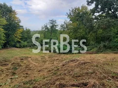 Prodaja, plac, 1120m², Petrovaradin, Novi Sad - image 6