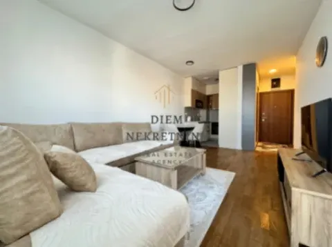 Izdavanje, jednosoban stan, 45m², Stari Aerodrom, Podgorica - image 8