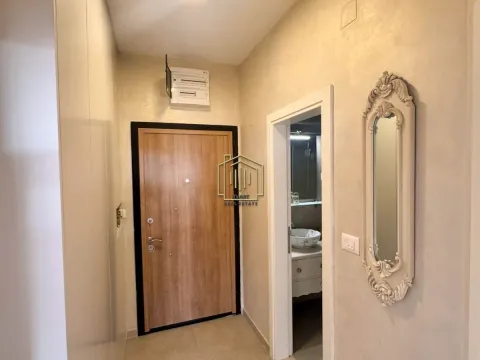 Rent, one bedroom apartment, 47m², Vezirov Most, Podgorica - image 13