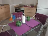 Izdavanje, dvosoban stan, 65m², Čubura, Beograd - image 6