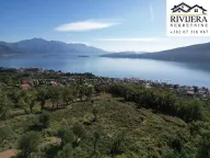 Sale, land lot, 3000m², Đenovići, Herceg Novi - image 4