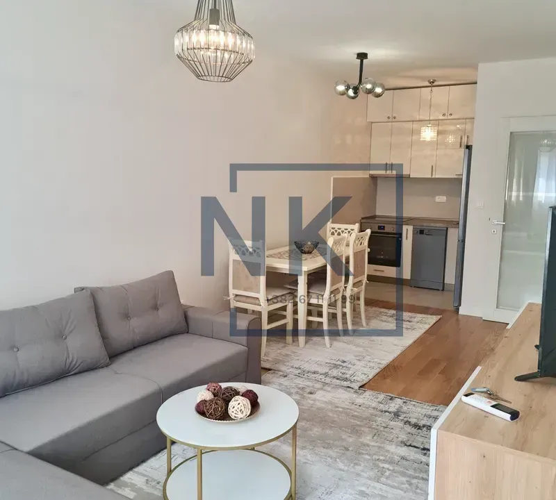 Izdavanje, jednosoban stan, 46m², Central Point, Podgorica