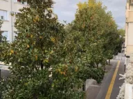 Izdavanje, dvosoban stan, 60m², Centar, Podgorica - image 12