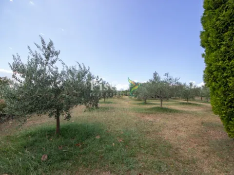 Rent, house, 100m², Zeta, Podgorica - image 2