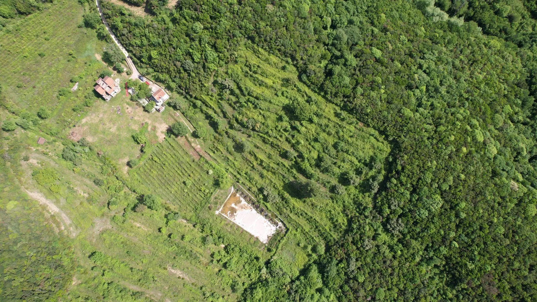 Prodaja, plac, 83000m², Radanovići, Kotor