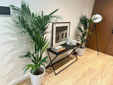 Izdavanje, trosoban stan, 120m², Stari Grad, Beograd - image 8