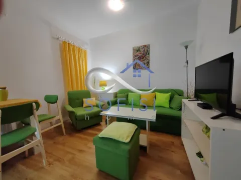 Rent, one bedroom apartment, 30m², Bulevar Oslobodjenja, Novi Sad Sve Podlokacije - image 3