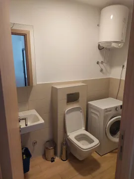 Smaller bathroom with sanitary fixtures, a toilet, and a washing machine. - image 11