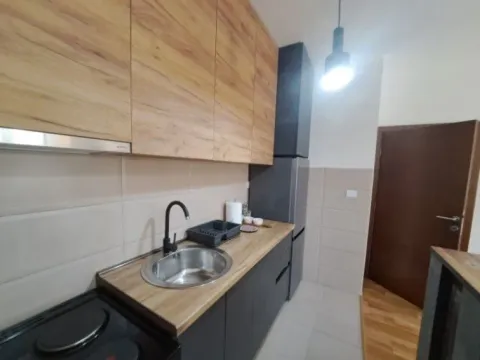 Izdavanje, jednosoban stan, 45m², Tuški Put, Podgorica - image 3
