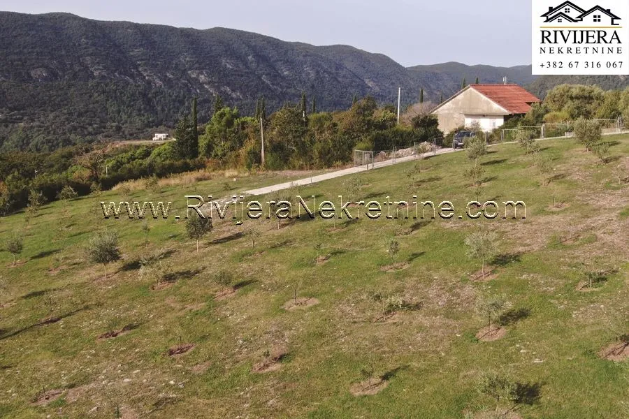 Prodaja, plac, 1885m², Ratiševina, Herceg Novi