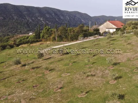 Prodaja, plac, 1885m², Ratiševina, Herceg Novi - image 3