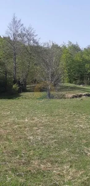 Prodaja, plac, 6692m², Kolašin, Crna Gora
